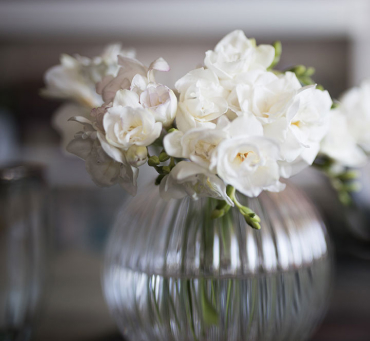 Home 27 why choose 1 1